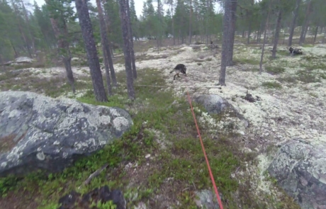 Spor slutt på Sølen 2021