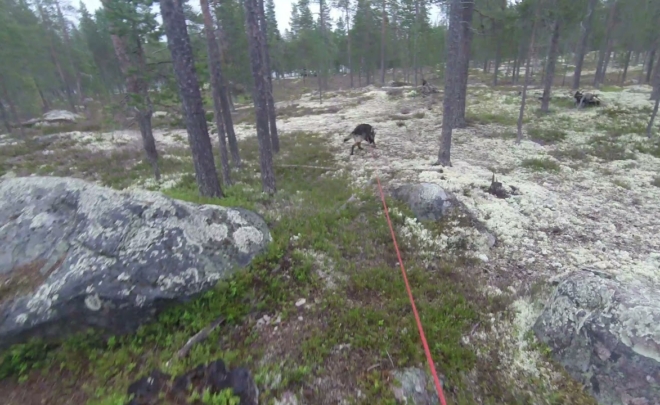 Spor slutt på Sølen 2021